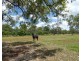 Lot 72 Messmate Drive, Miriam Vale QLD 4677