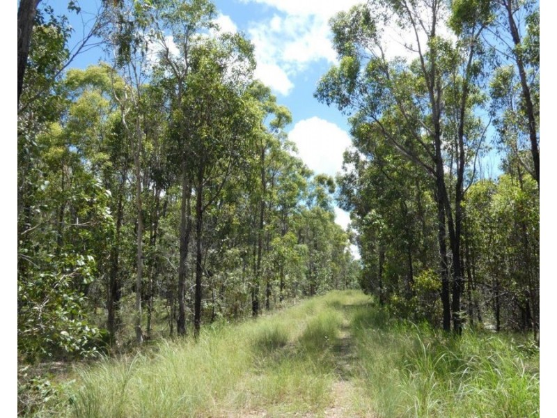 666 Capricornia Drive, Deepwater QLD 4674