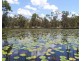 666 Capricornia Drive, Deepwater QLD 4674