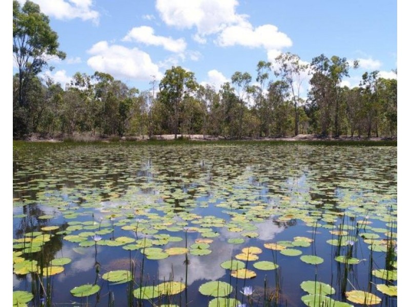 666 Capricornia Drive, Deepwater QLD 4674