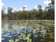 666 Capricornia Drive, Deepwater QLD 4674