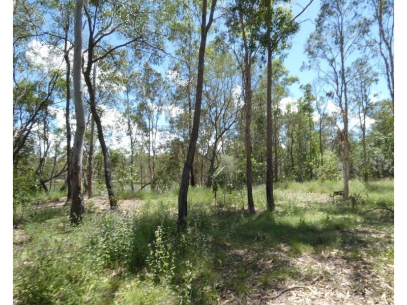 666 Capricornia Drive, Deepwater QLD 4674