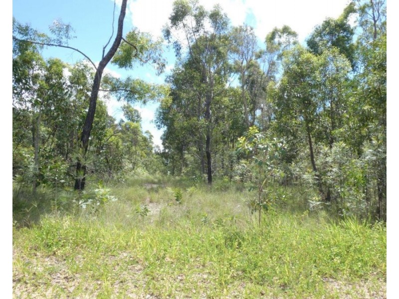 666 Capricornia Drive, Deepwater QLD 4674