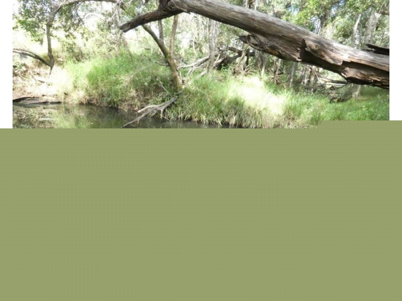 36 Lloyd Jones Road, Rosedale QLD 4674