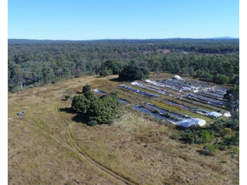 344 Wills Road, Rosedale QLD 4674