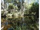 344 Wills Road, Rosedale QLD 4674