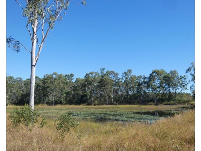 344 Wills Road, Rosedale QLD 4674