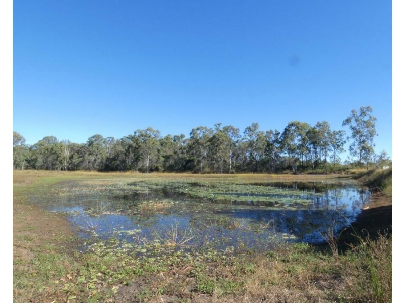 344 Wills Road, Rosedale QLD 4674