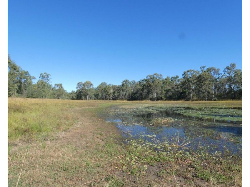 344 Wills Road, Rosedale QLD 4674