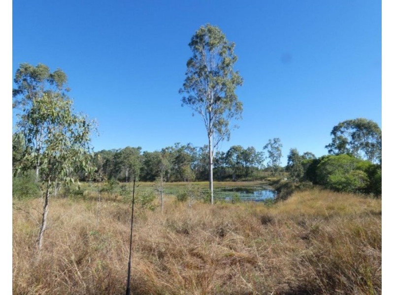 344 Wills Road, Rosedale QLD 4674