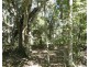 1039 Hills Road, Mount Maria QLD 4674