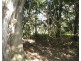 1039 Hills Road, Mount Maria QLD 4674