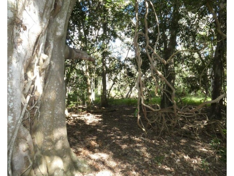 1039 Hills Road, Mount Maria QLD 4674