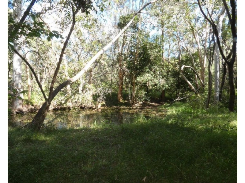 1039 Hills Road, Mount Maria QLD 4674
