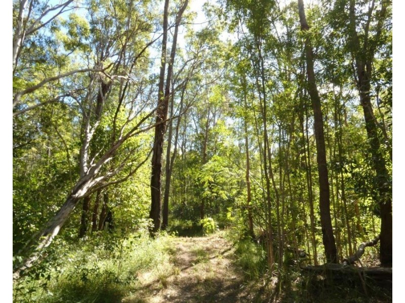 1039 Hills Road, Mount Maria QLD 4674