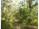 1039 Hills Road, Mount Maria QLD 4674