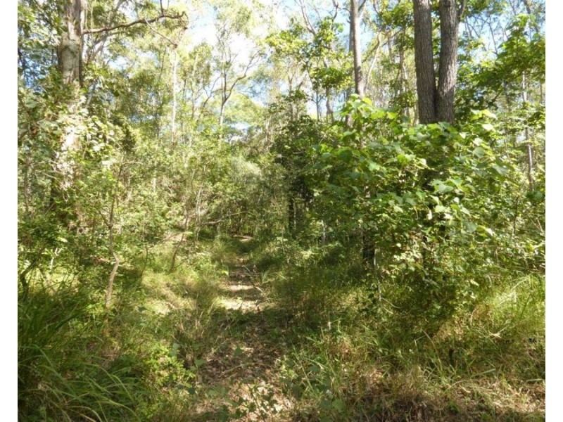1039 Hills Road, Mount Maria QLD 4674