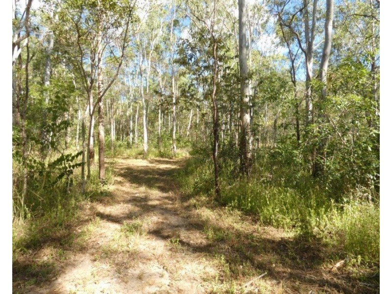 1039 Hills Road, Mount Maria QLD 4674