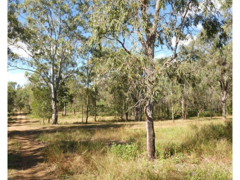 1039 Hills Road, Mount Maria QLD 4674
