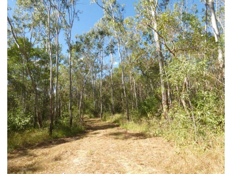 1039 Hills Road, Mount Maria QLD 4674