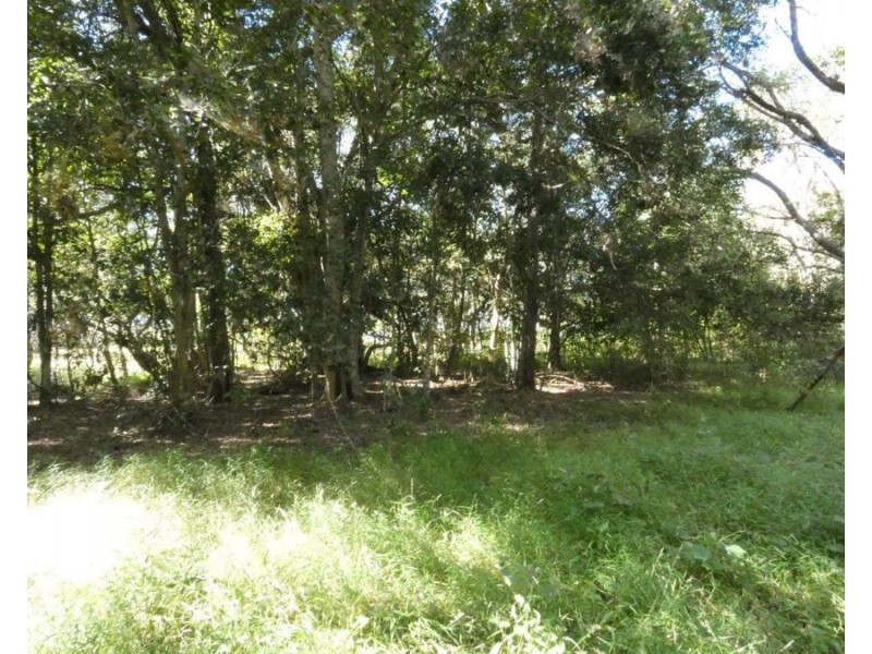 1039 Hills Road, Mount Maria QLD 4674