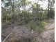 Lot 33 Cross Road, Euleilah QLD 4674