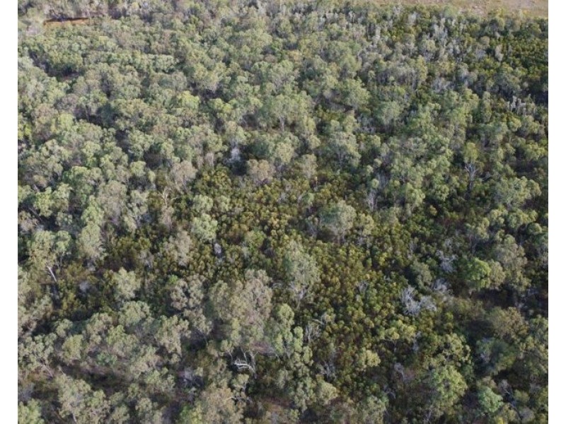 Lot 33 Cross Road, Euleilah QLD 4674