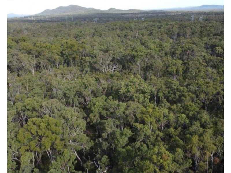Lot 33 Cross Road, Euleilah QLD 4674
