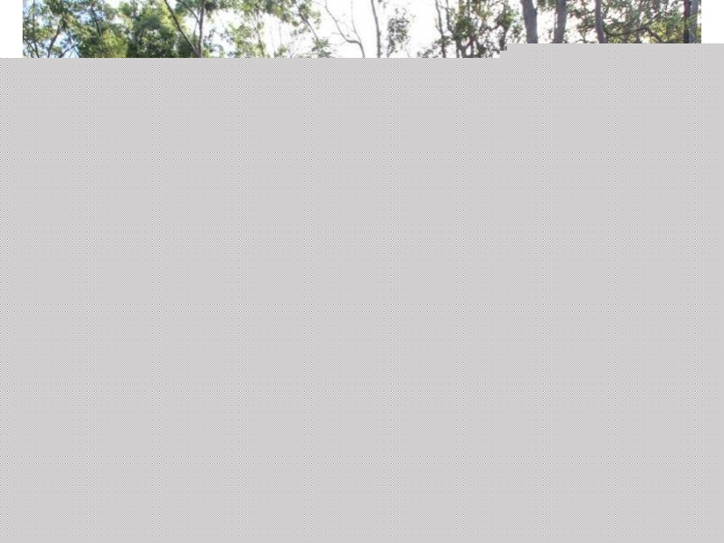 Lot 33 Cross Road, Euleilah QLD 4674