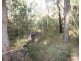 Lot 33 Cross Road, Euleilah QLD 4674