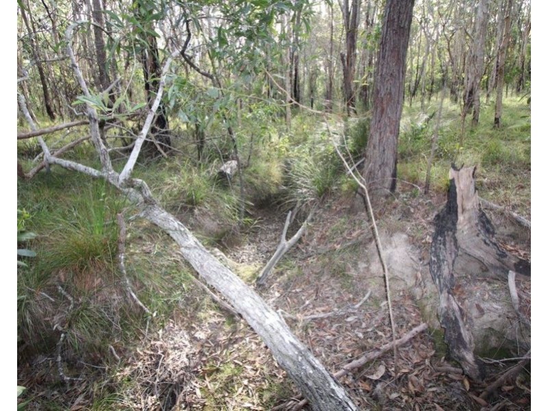 Lot 33 Cross Road, Euleilah QLD 4674