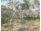 Lot 33 Cross Road, Euleilah QLD 4674
