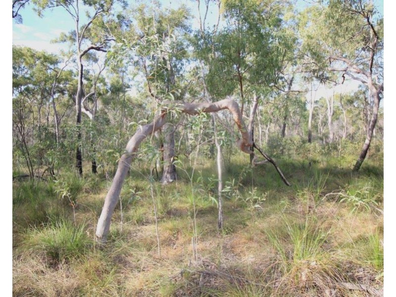 Lot 33 Cross Road, Euleilah QLD 4674