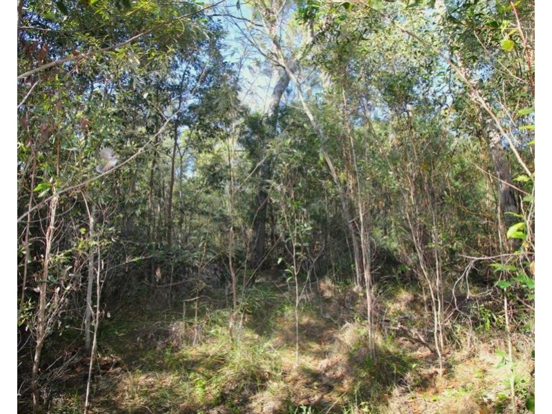 Lot 25 Matchbox Road, Deepwater QLD 4674