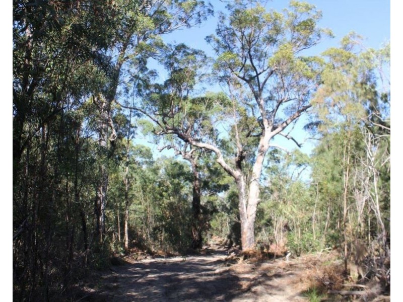 Lot 25 Matchbox Road, Deepwater QLD 4674