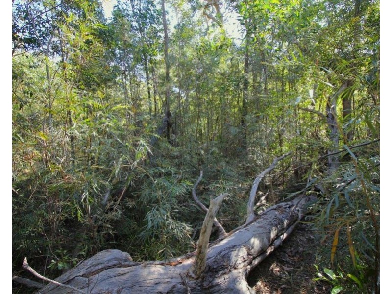 Lot 25 Matchbox Road, Deepwater QLD 4674