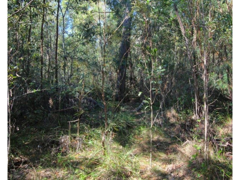 Lot 25 Matchbox Road, Deepwater QLD 4674