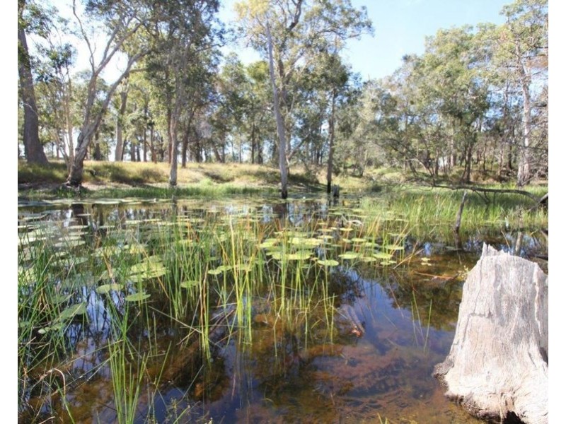 411 Mitchell Road, Mount Maria QLD 4674