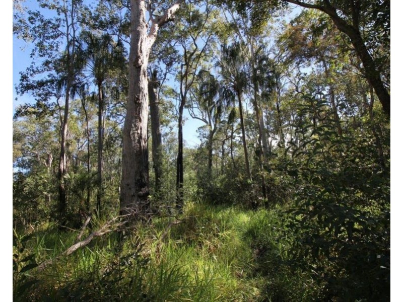 411 Mitchell Road, Mount Maria QLD 4674