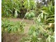 1342 Monduran Road, Yandaran QLD 4673