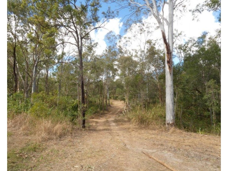 1342 Monduran Road, Yandaran QLD 4673