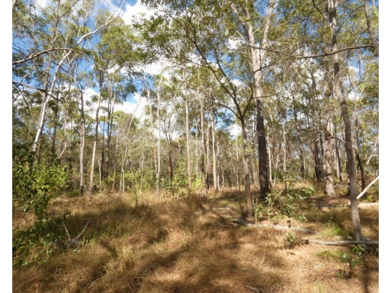 1342 Monduran Road, Yandaran QLD 4673