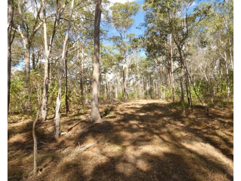 1342 Monduran Road, Yandaran QLD 4673