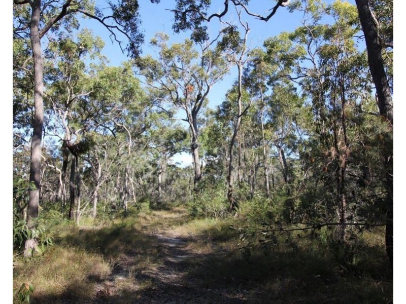 311 Pacific Drive, Deepwater QLD 4674