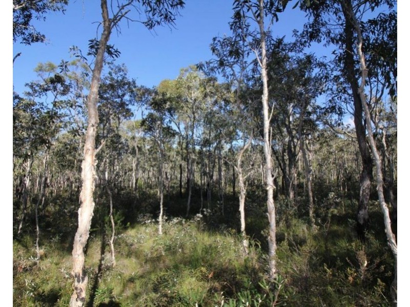 311 Pacific Drive, Deepwater QLD 4674