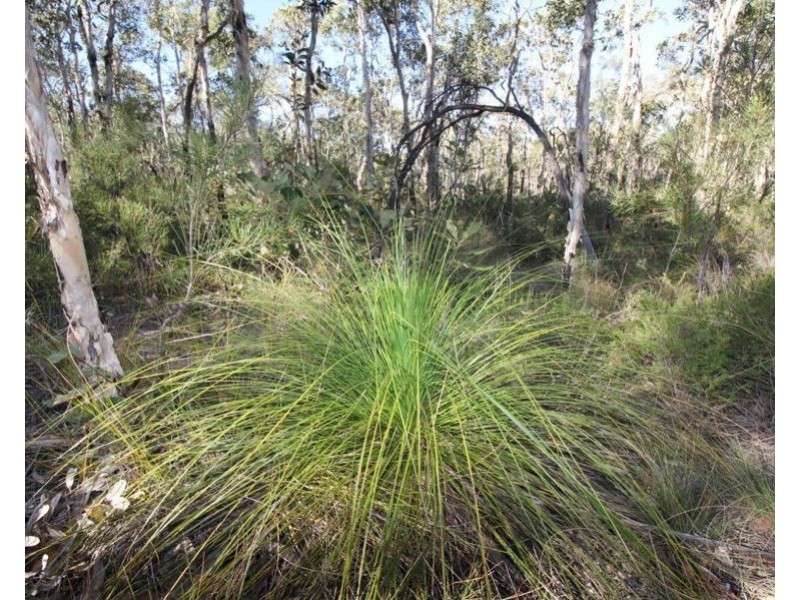 311 Pacific Drive, Deepwater QLD 4674