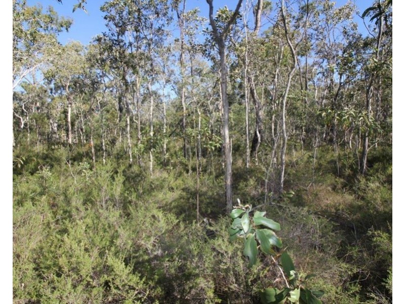 311 Pacific Drive, Deepwater QLD 4674