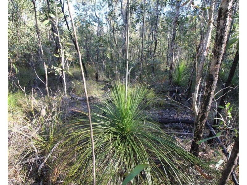 311 Pacific Drive, Deepwater QLD 4674