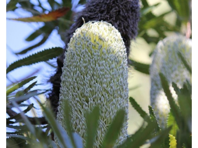 Lot 32 Lindy Drive, Rules Beach QLD 4674