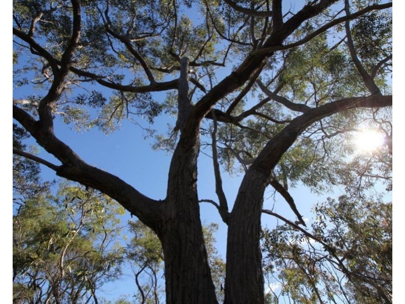 Lot 32 Lindy Drive, Rules Beach QLD 4674